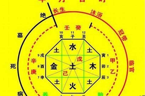 喜用神金|生辰八字算命、五行喜用神查询（免费测算）